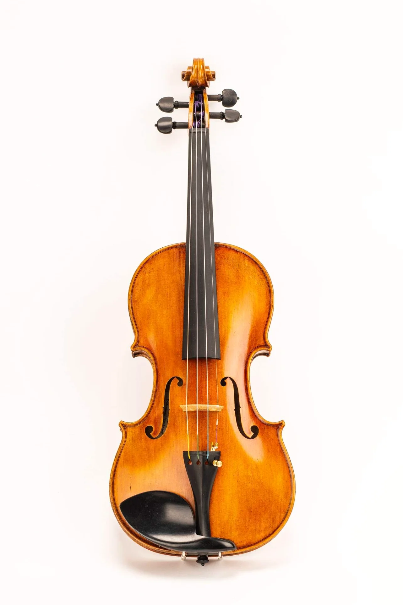 violino Modello 505 full size 4/4 con $500 regalo