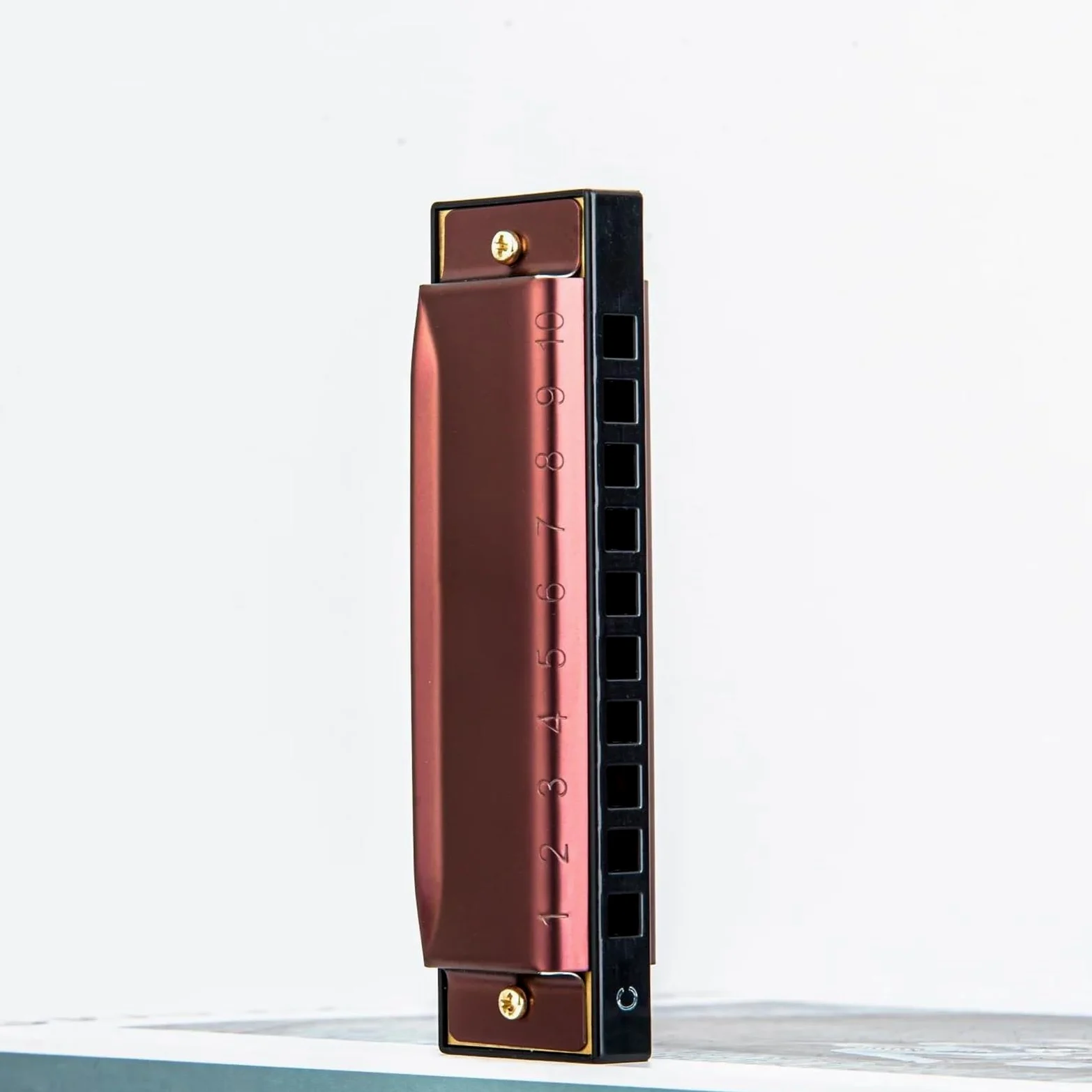 Armoniche a bocca 10 Buche 20 Tono Diatonic Amoncia In Acciaio Inossidabile Copri Più Importanti C In Armonica Personalizzata Con Custodia(Red)