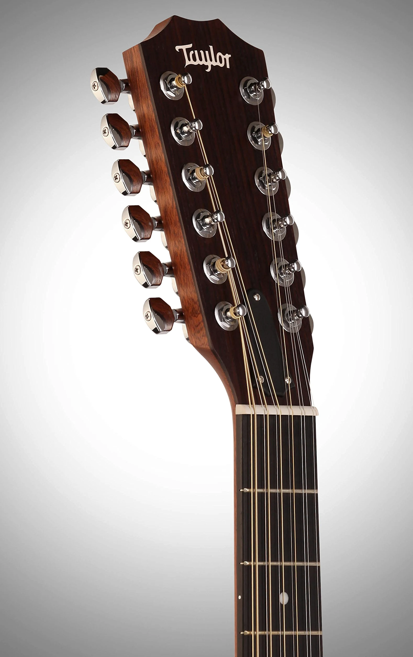 Taylor chitarra western 150E