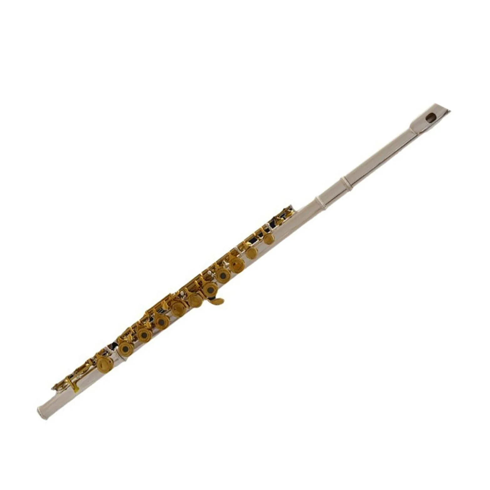 Flauto Flauto traverso professionale bicolore placcato argento in Do
