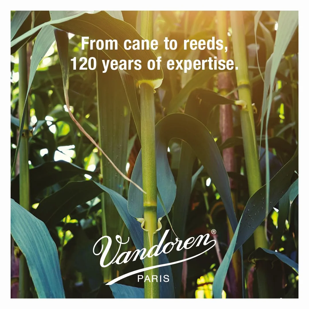 Vandoren Alt Sax 3