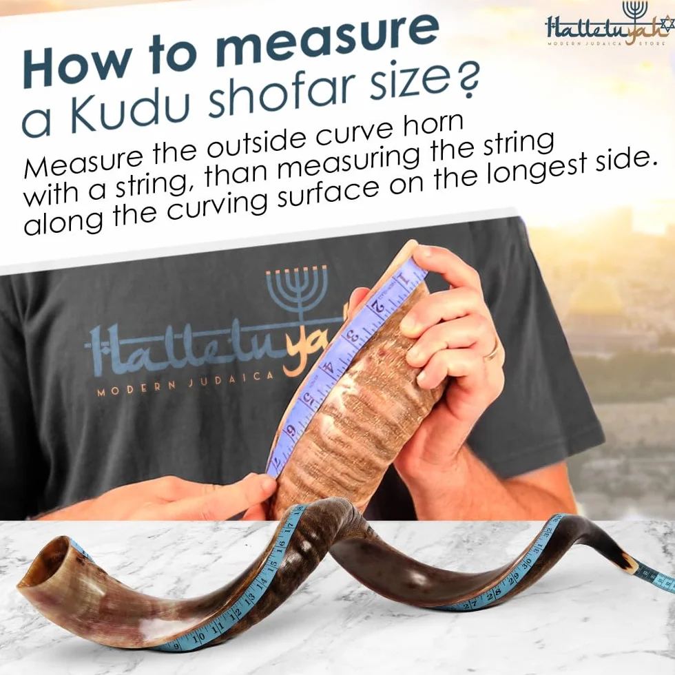 HalleluYAH Kosher Kudu Shofar semi-lucidato originale | Da Israele