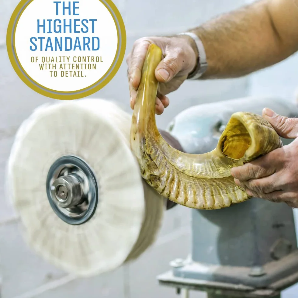 Holy Voice Kosher, corno Shofar di ariete proveniente da Israele, 30,5-35,6 cm, tradizionale mezzo lucido, strumento musicale ebraico antico della Terra Santa, bocchino liscio per un facile soffiaggio