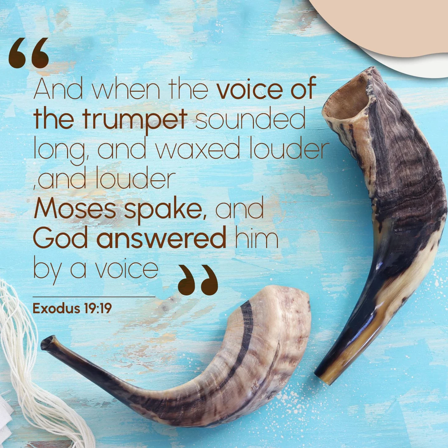 Shofar tradizionale da Israele, strumento musicale naturale ebraico, suono chiaro, autentico corno Shofar, bellissimo suono Shofar, corno di ariete naturale (35,6 - 40,6 cm)