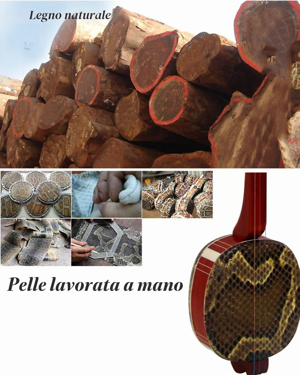 Chitarra Tradizionale Cinese a 3 Corde Sanxian, Strumento Cinese per Principianti, artisti Black S