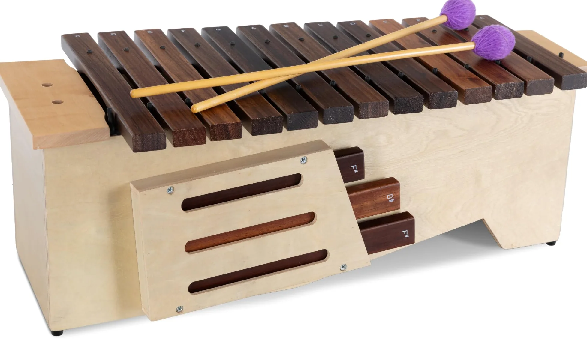 Classic Cantabile AX-1600NG Alt-xilofono (Alt Xilofono, 16 toni, scala diatonica in Do maggiore, estensione: c' a a'', cassa di risonanza in tiglio, bacchette) Legno di tiglio