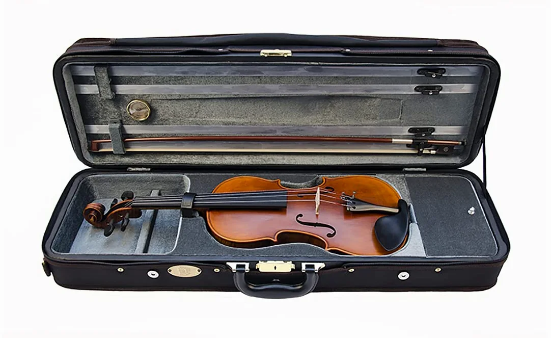 Stentor, Violino a 4 corde (1880OFTA)