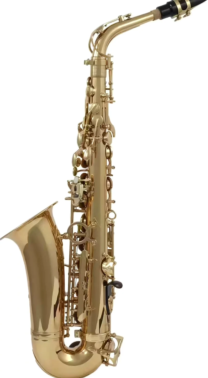 Woodbrass WSA100 - Sassofono Alto Mi Verniciato – Strumento Principiante Pronto a Giocare, Ottone Verniciato, Timbri Pelle con Risonatori Metallo, Custodia & Accessori Inclusi