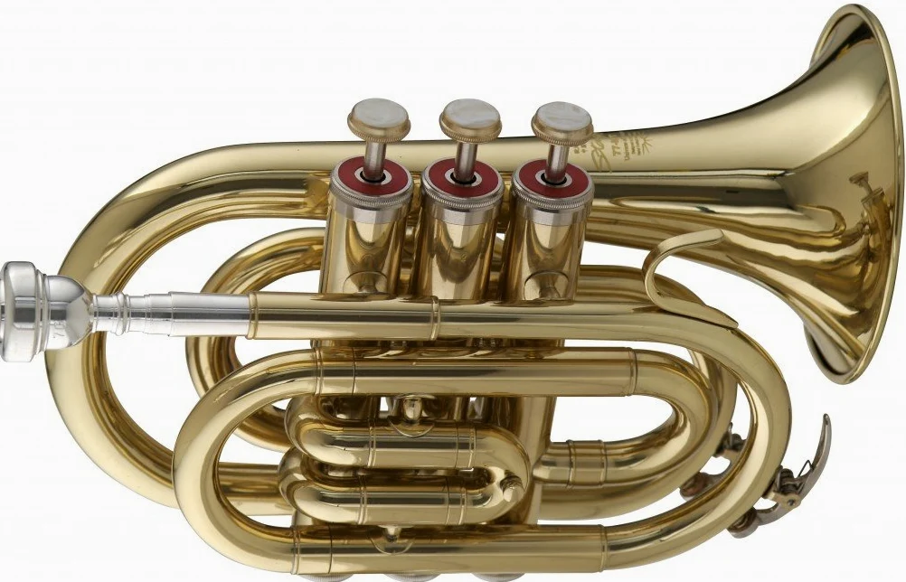 Stagg WS - TR245 - Tromba tascabile in Sib con custodia, 15,2 x 7,6 x 20,3 cm