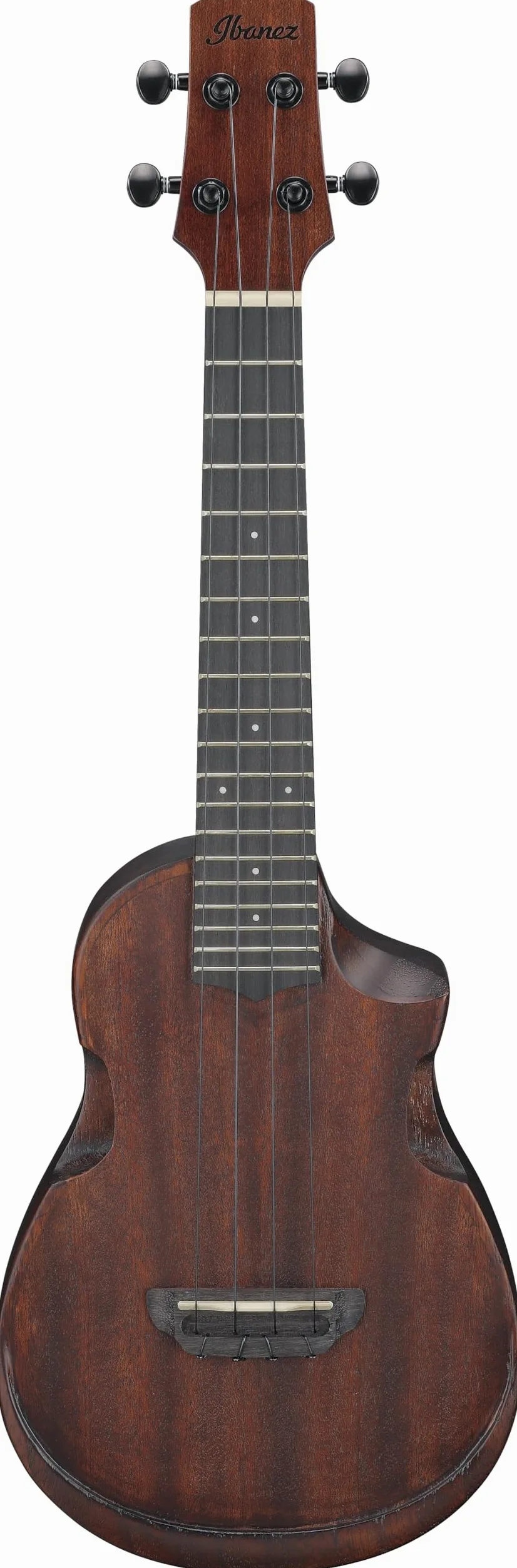 Ibanez AUC14-OVL Concert Ukulele - Ukulele concerto