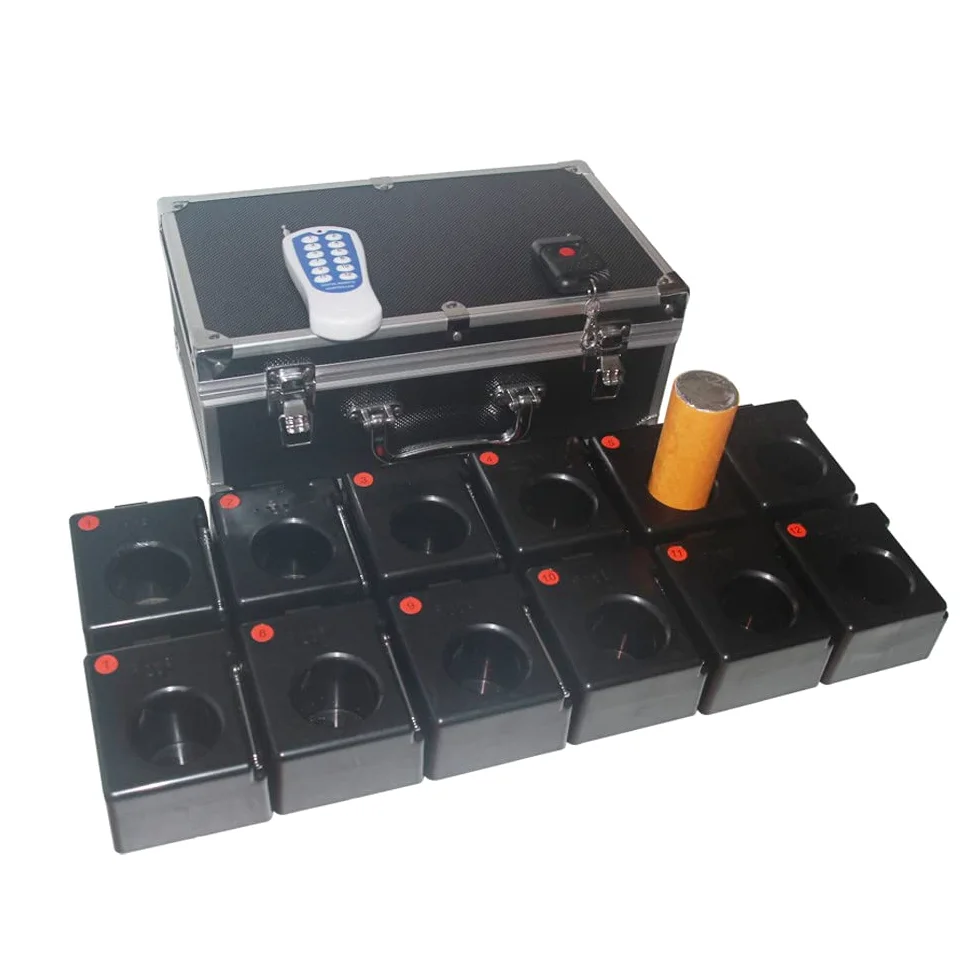 Accenditore Per Fuochi D'Artificio A Freddo, Ricevitore 12 Cues + Telecomando Senza Fili, Mini Fontana Per Fuochi D'Artificio Freddi, Sistema Pirotecnico Con Scintilla Per Matrimoni, Con Valigia