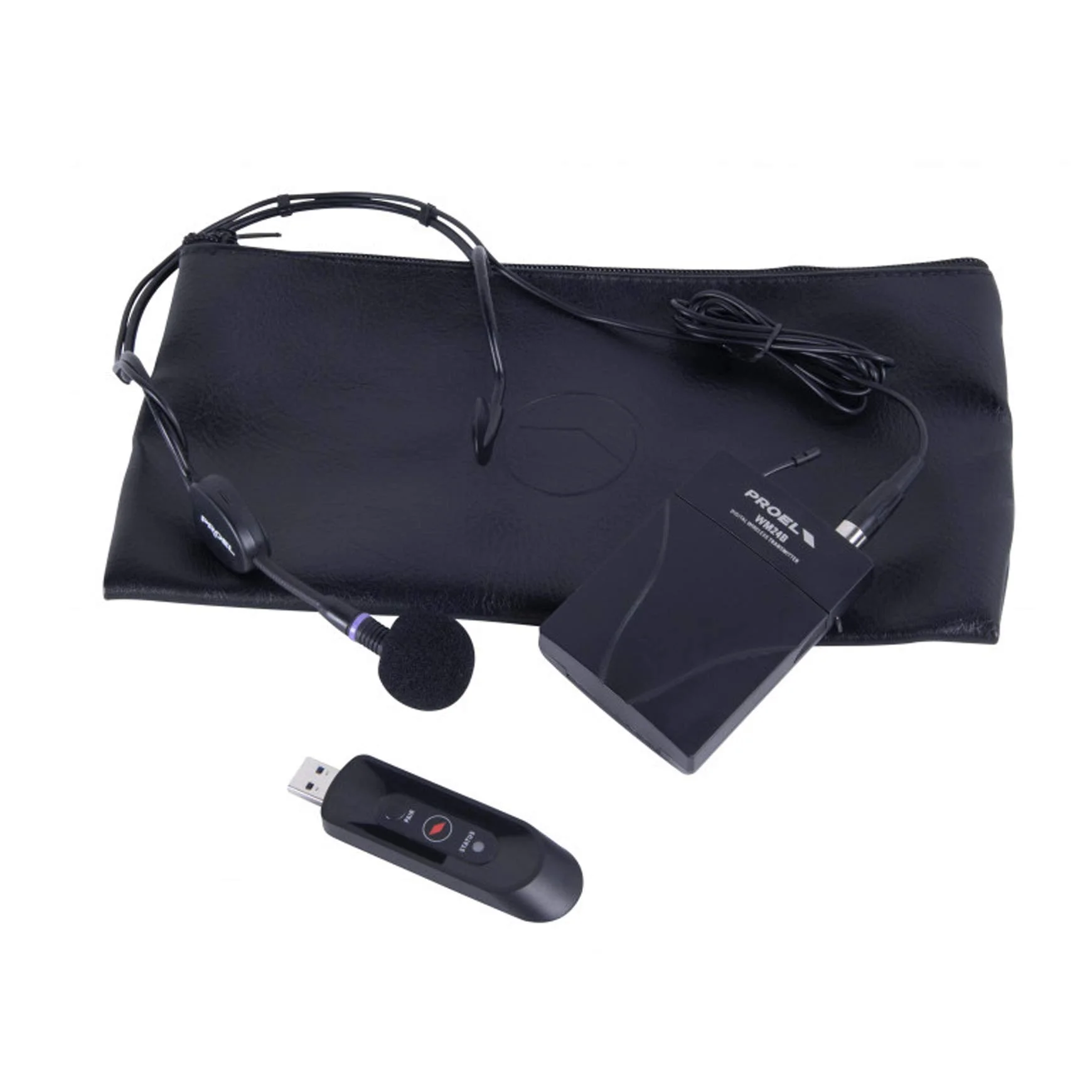 PROEL U24B - Microfono Wireless USB Professionale Dinamico ad Archetto per Voce Canto Karaoke, Nero