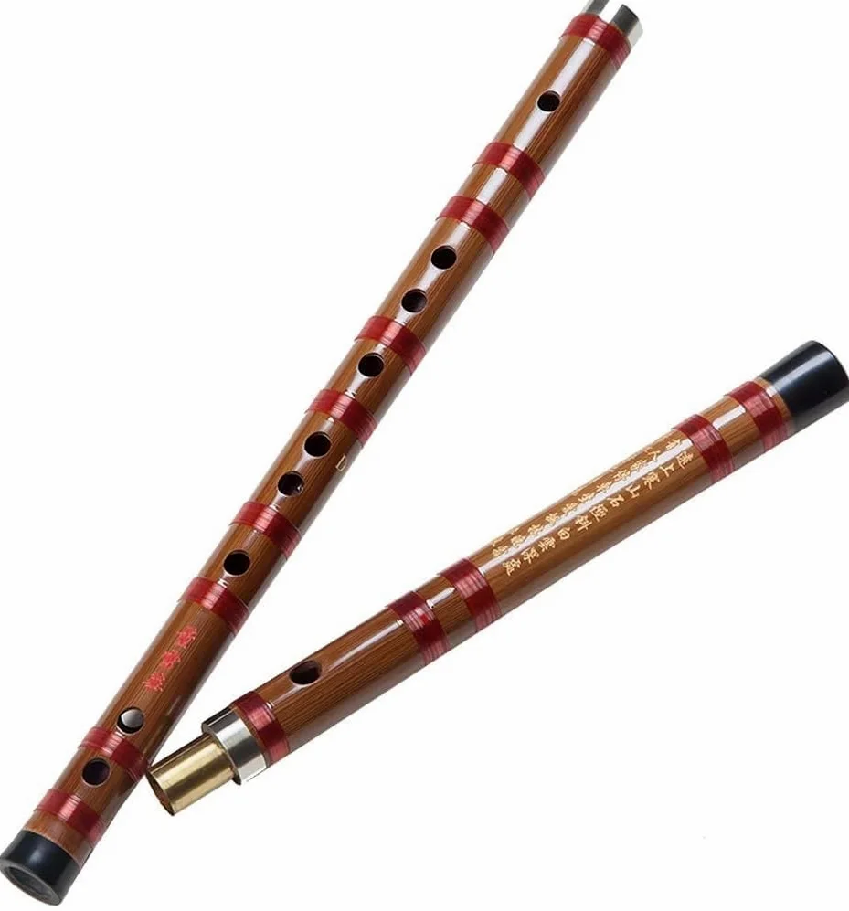Flauto Flauto professionale GFEDC Chiave Flauto di bambù Flauto traverso Principiante Suonare il flauto Strumento musicale Dizi Dizi(C)
