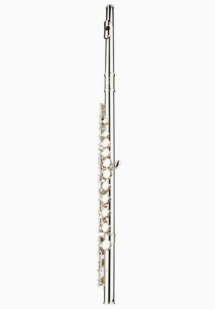 Gloria chiusi fori C flauto con custodia, panno per tuning asta e guida per grasso e guanti, Nickel silver