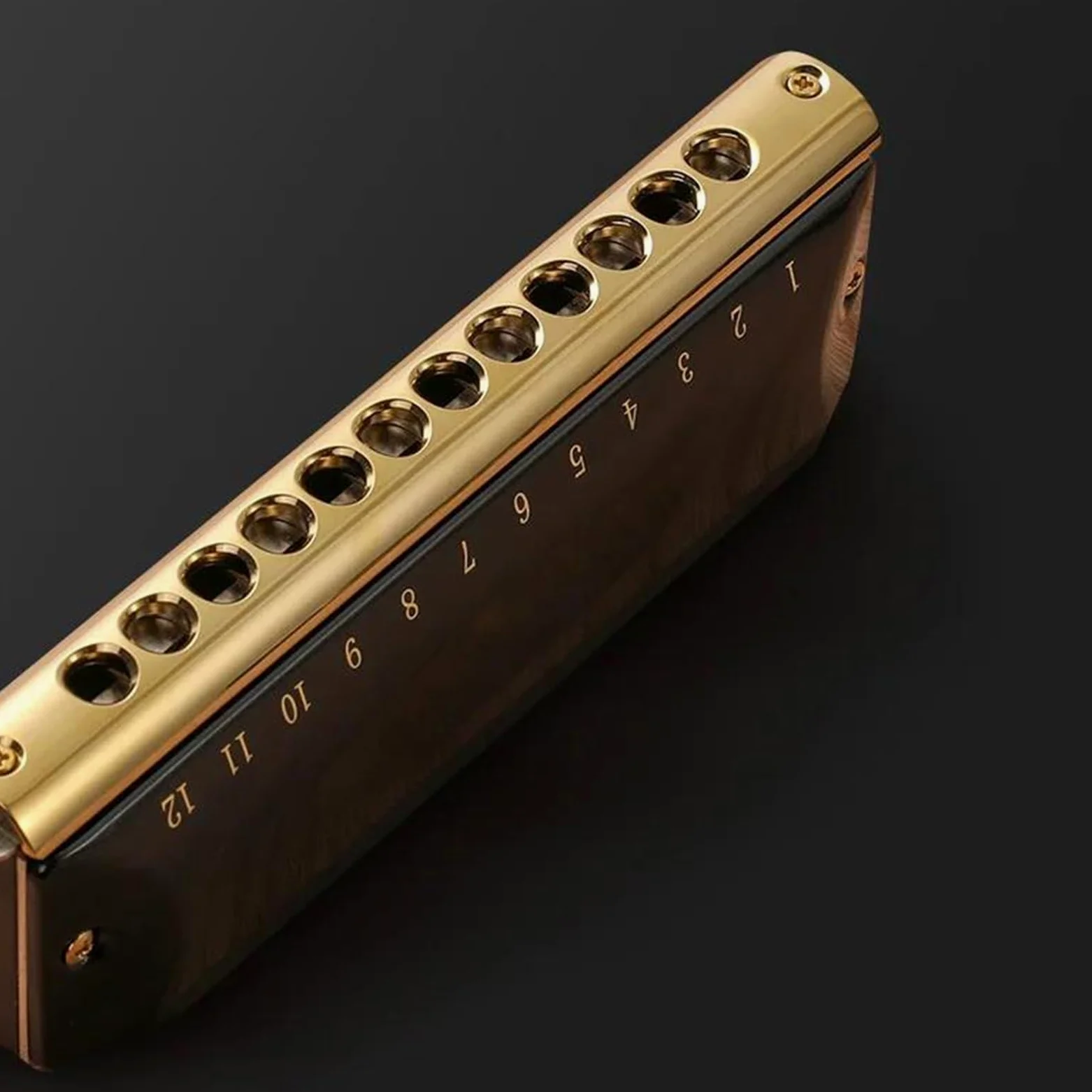 Armonica Cromatica A 12/16 Fori Strumento Musicale Professionale di qualità per Le Prestazioni, Fisarmonica(12 Hole)