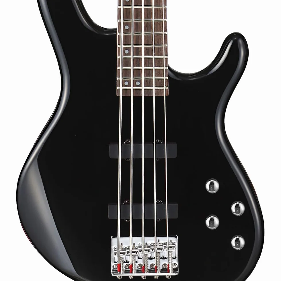Cort Action Bass V Plus 5-String Electric Bass Guitar, Black