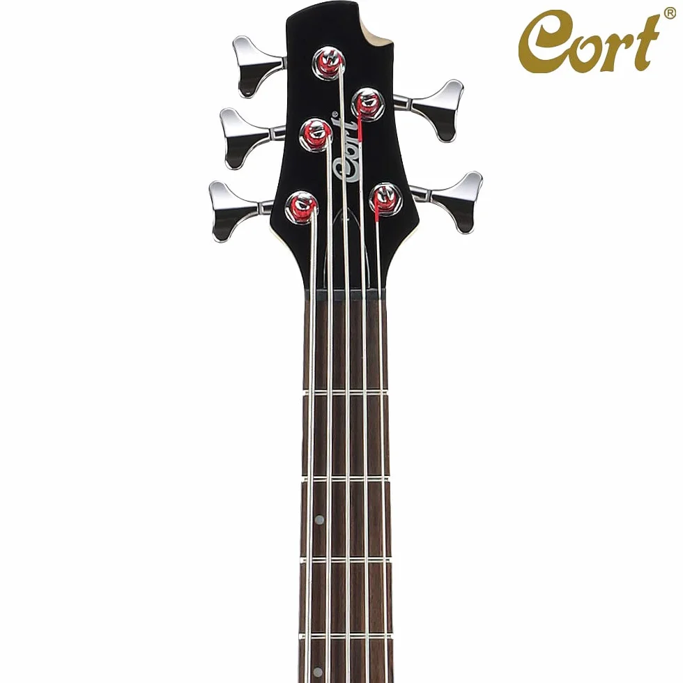 Cort Action Bass V Plus 5-String Electric Bass Guitar, Black