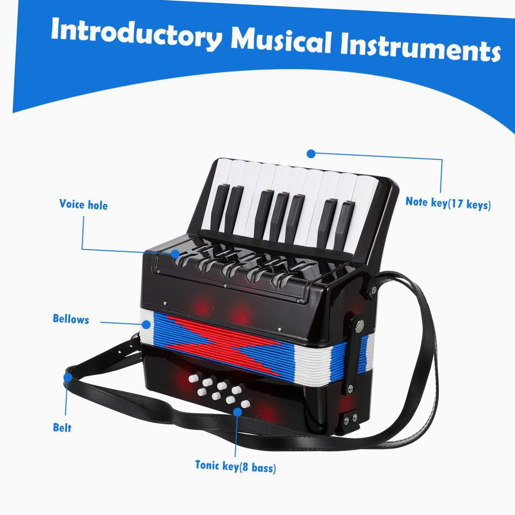NOLITOY Strumento Musicale Organetto per Educativo Portatile Accordéon Leggero con Suono Chiaro per Sviluppo Cognitivo e Coordinazione Occhio Mano
