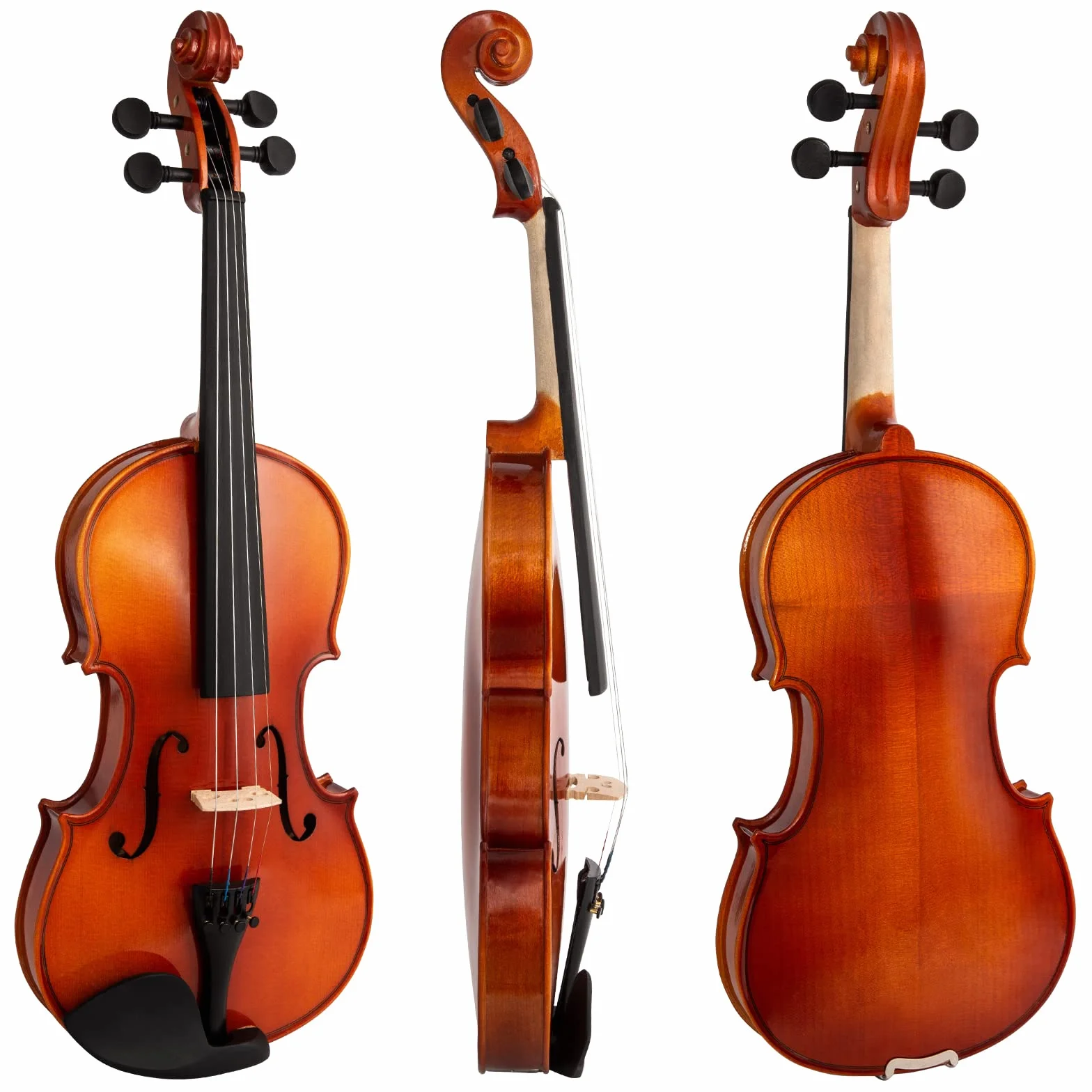 Theodore Premium Series 4/4 Dimensioni, N/A