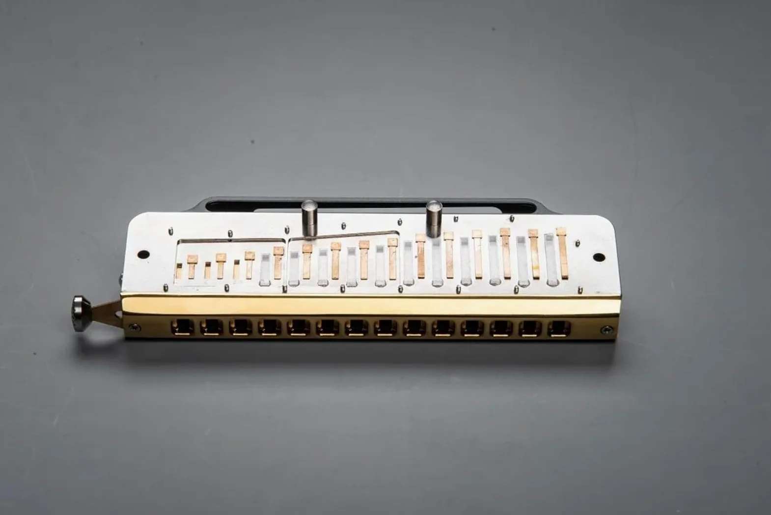 Armonica Chiave armonica di Do 14 fori Organetto a bocca professionale