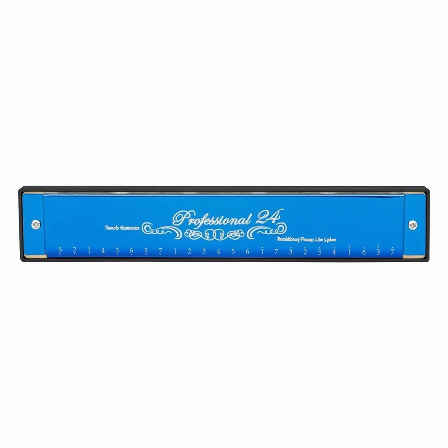 Armonica Armonica a bocca professionale a 24 fori con chiave in Do griglia in resina ABS strumento musicale per principianti con custodia e panno per la pulizia