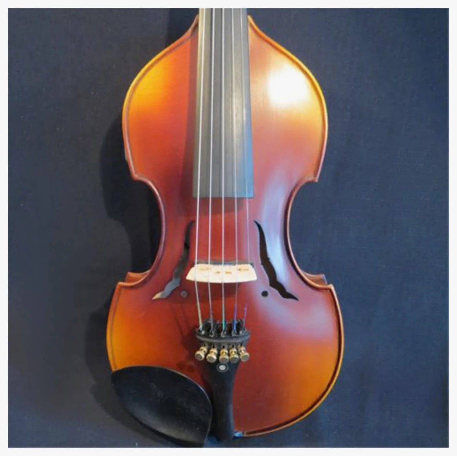 Violino Colore Marrone 5 Corde Violino Elettrico 4/4 Acoustic Professional Hildren Violino Per Adulti Violino