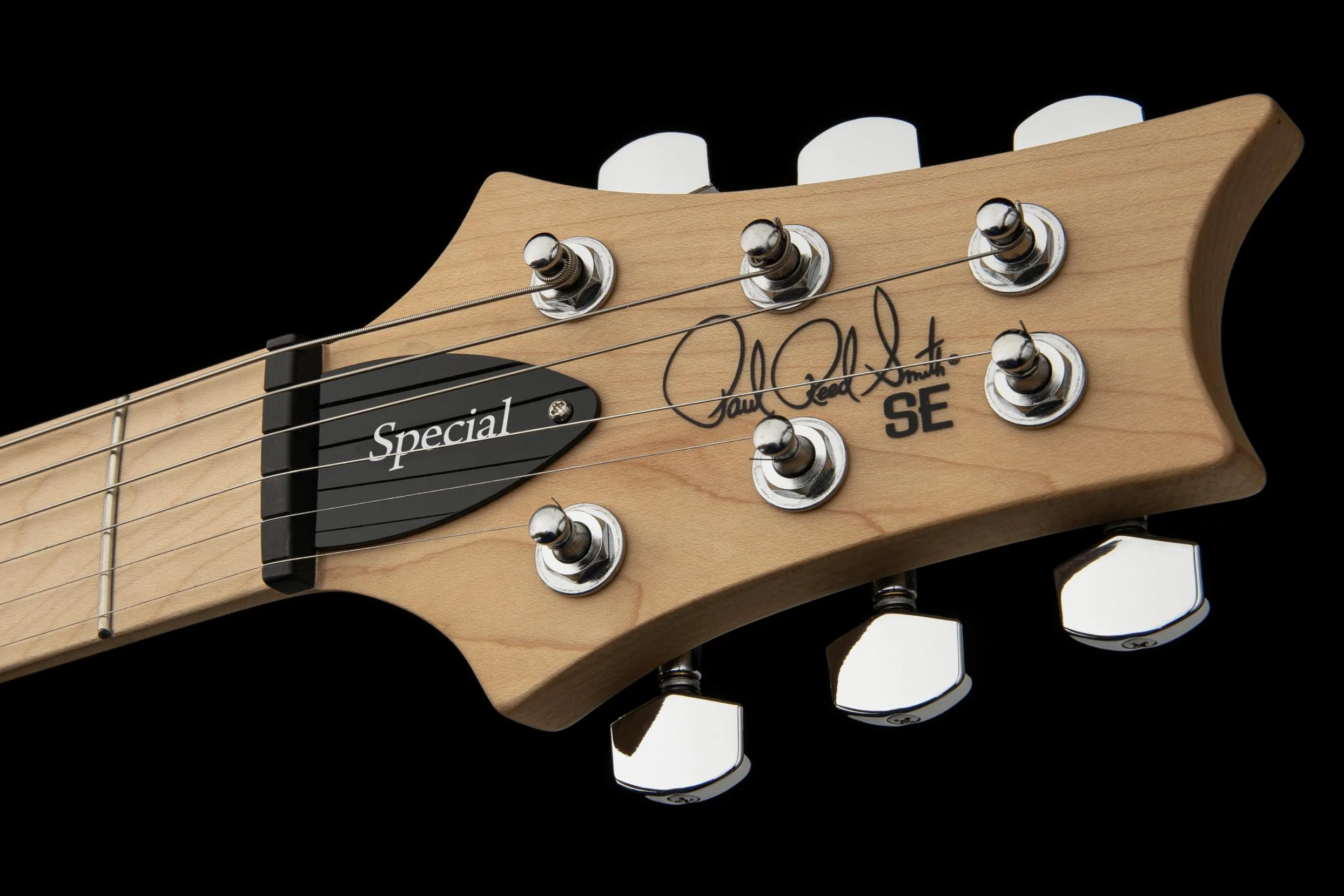 PRS SE Swamp Ash Special Guitars Chitarra Elettrica, Iri Blue con Gigbag, Destra, Guitars (112886::IB:)
