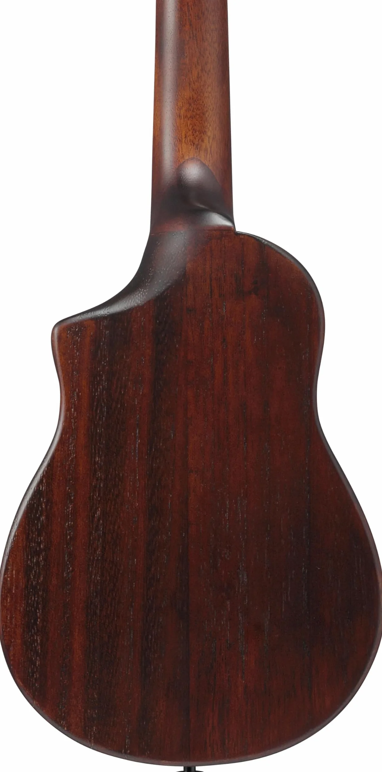 Ibanez AUC14-OVL Concert Ukulele - Ukulele concerto