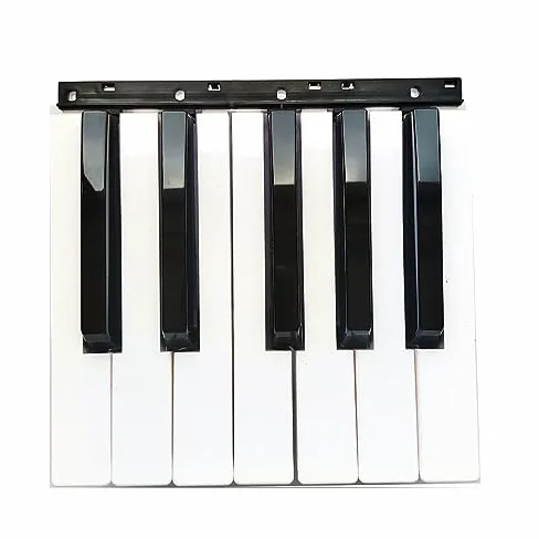 Ricambio nero bianco tasti tastiera parte per Korg PA500 PA600 PA700 PA300 (12 tasti nero bianco)