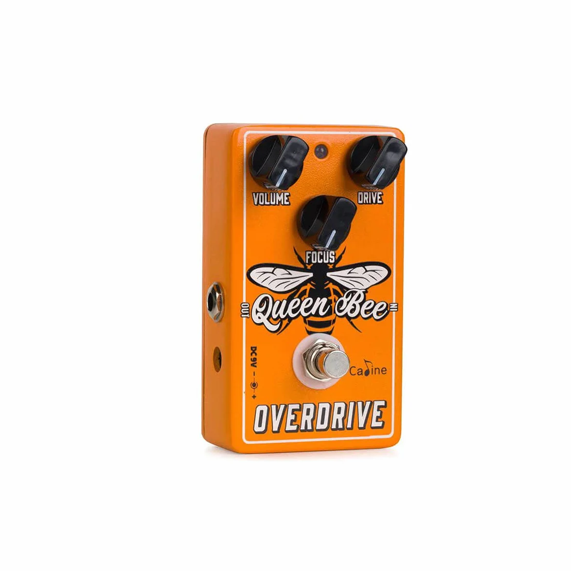 Caline CP-503 - Queen Bee Overdrive Pedale