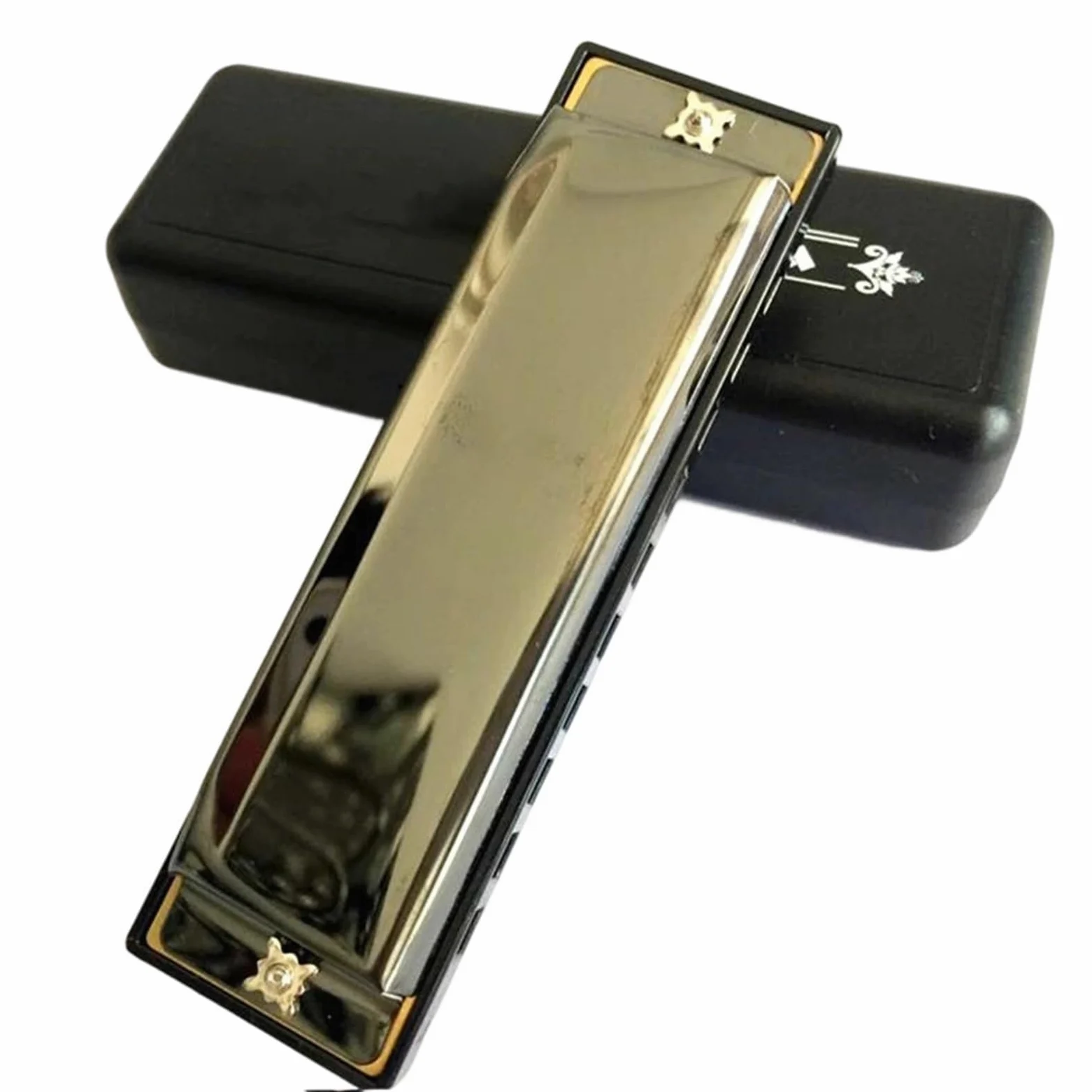Armonica Armonica A Bocca 10 Fori Arpa Blues Diatonica Strumento A Fiato