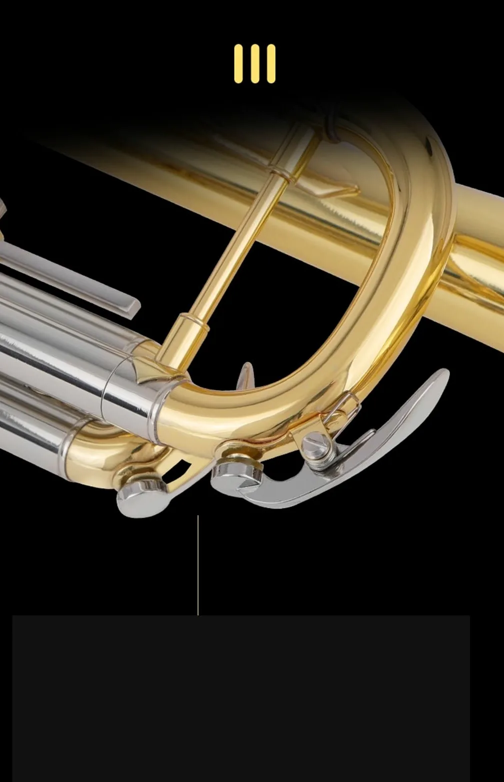 Ensemble Di Trombe Standard Tromba In Sib Per Principianti Strumento Professionale Oro