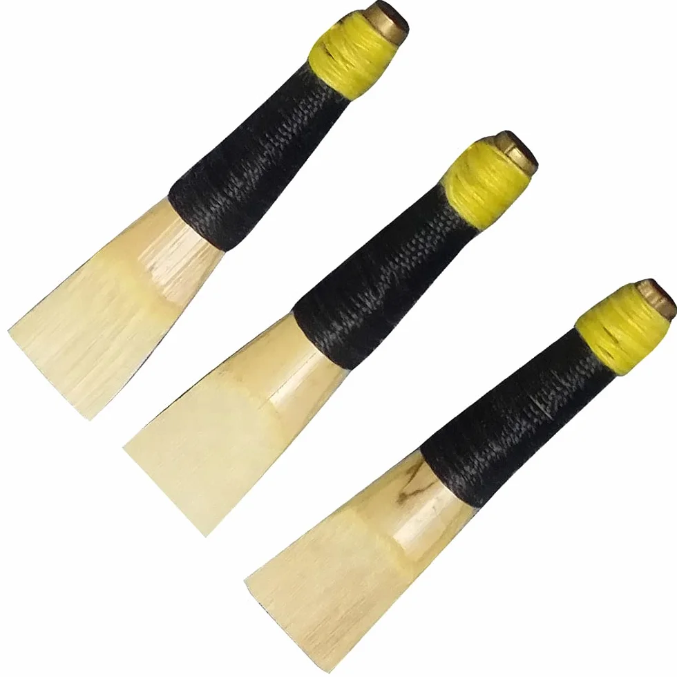 Cornamusa per principianti e adulti con bella finitura nera - cantante pratica con accessori - tubo per borsa per adulti (cornamusa in velluto nero)