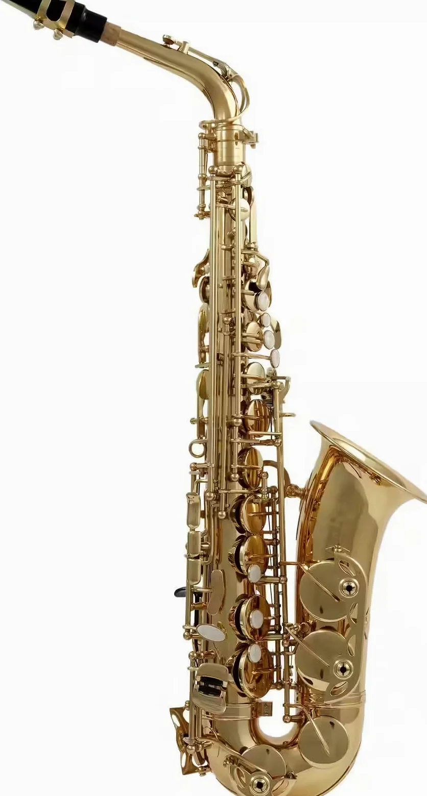 Woodbrass WSA100 - Sassofono Alto Mi Verniciato – Strumento Principiante Pronto a Giocare, Ottone Verniciato, Timbri Pelle con Risonatori Metallo, Custodia & Accessori Inclusi