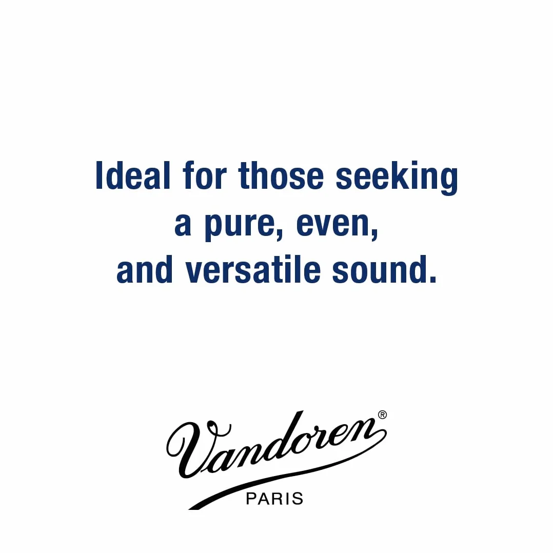Vandoren Alt Sax 3