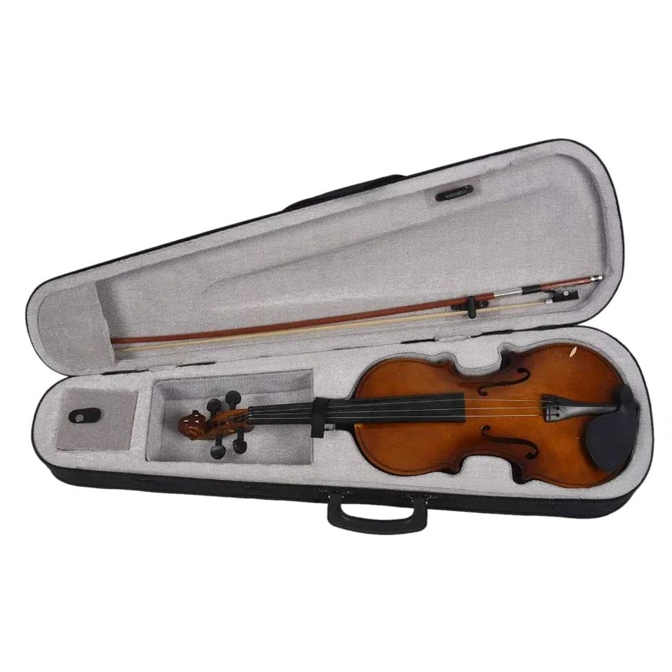 Violino Standard da Studente, per Principianti, 4/4 Violino Acustico di Dimensioni Standard in Legno di Violino con Custodia for Violino di colofonia
