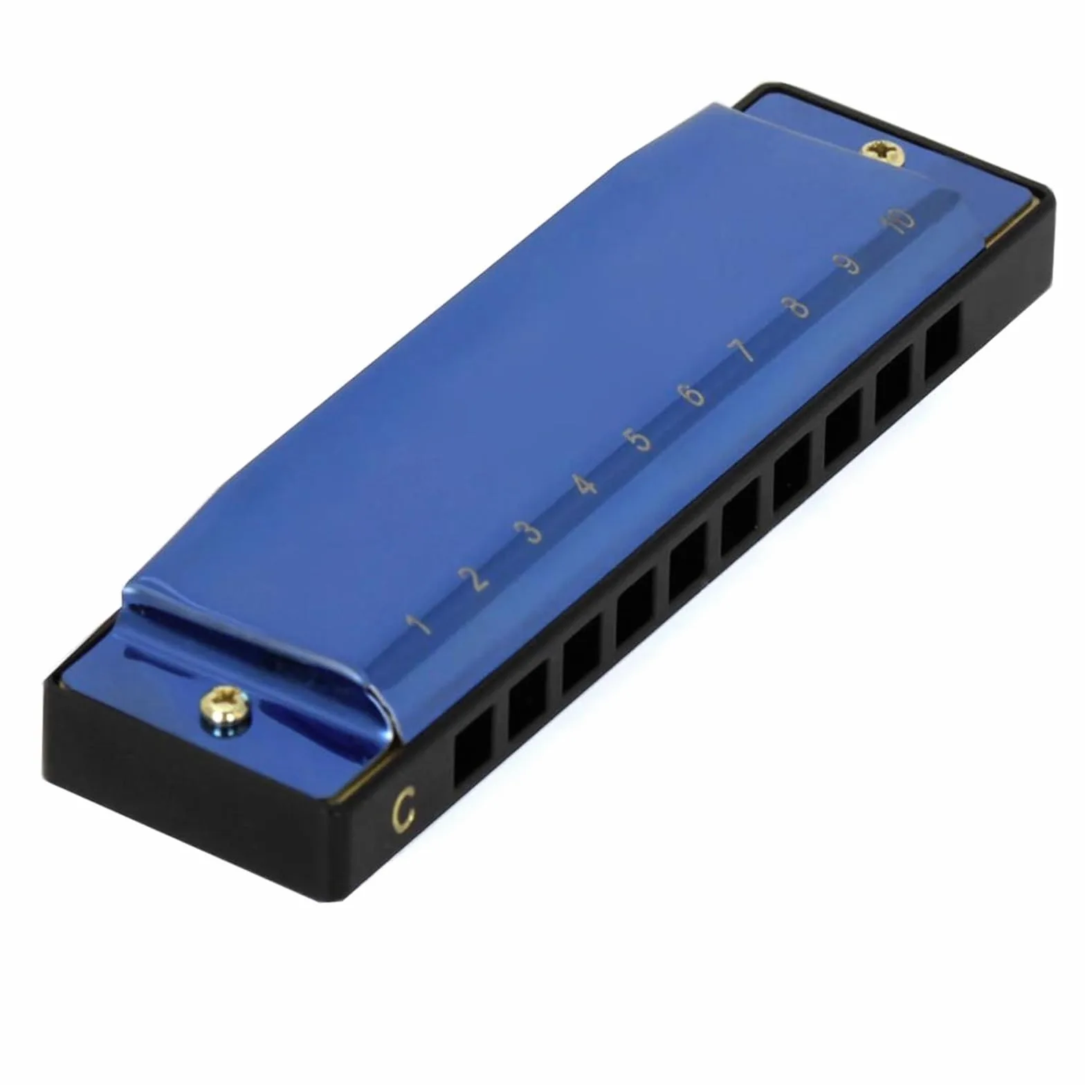 armonica a bocca Armonica A 10 Fori 20 Toni Armonica A Chiave C Blu Organetto A Bocca Adatto Per Gli Appassionati Di Musica Strumento