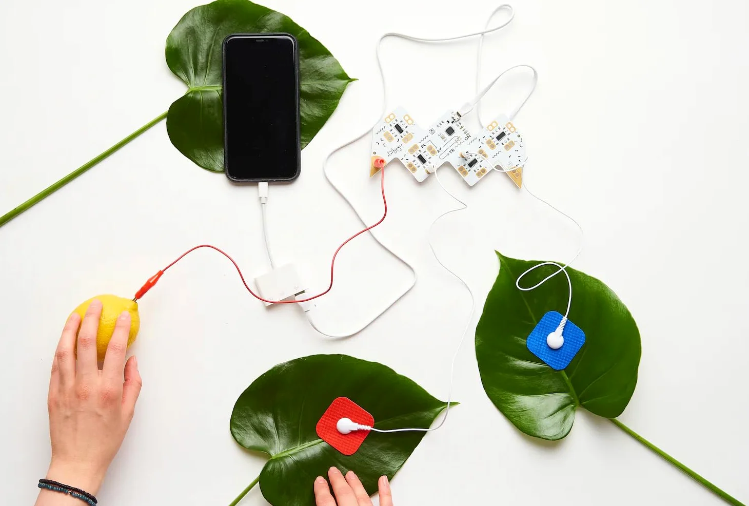 Playtronica MIDI-CONTROLLER PLAYTRON (controlla strumenti software, fino a 16 oggetti, espressione creativa, latenza impercettibile, portatile, connessione USB, borsa), nero