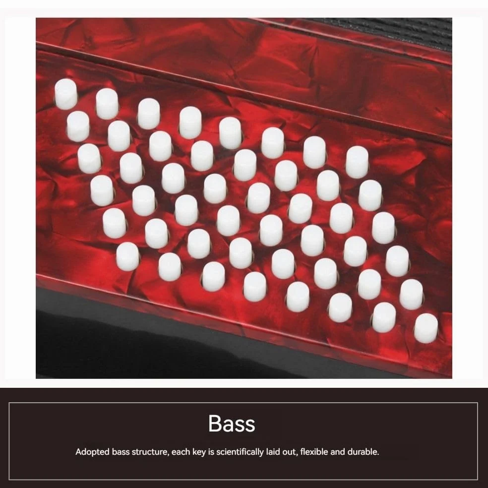 Fisarmonica a 26 tasti e 48 bassi, corpo in ABS, superficie blu con vernice for pianoforte, interruttore audio, adatta a principianti e professionisti, custodia inclusa e nastro for chitarra