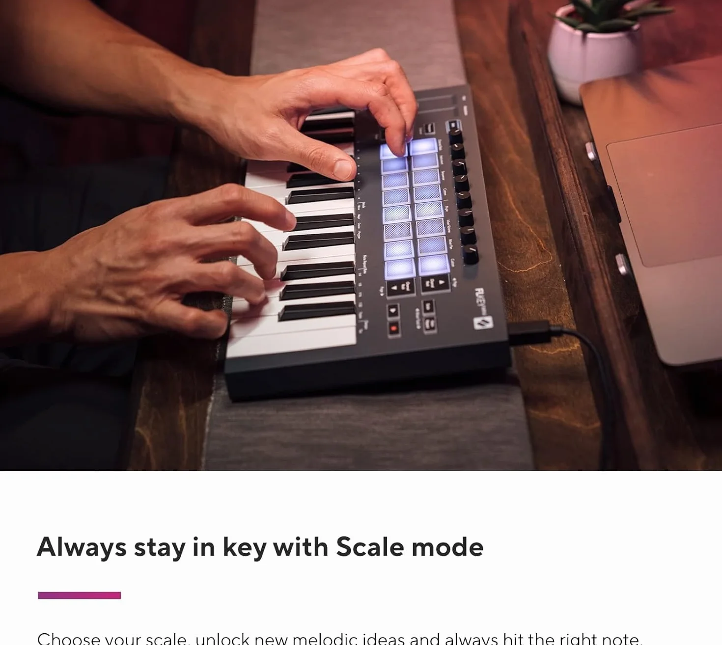 Novation FLkey Mini - Controller MIDI a tastiera portatile a 25 tasti, USB, con integrazione per FL Studio — per la produzione musicale