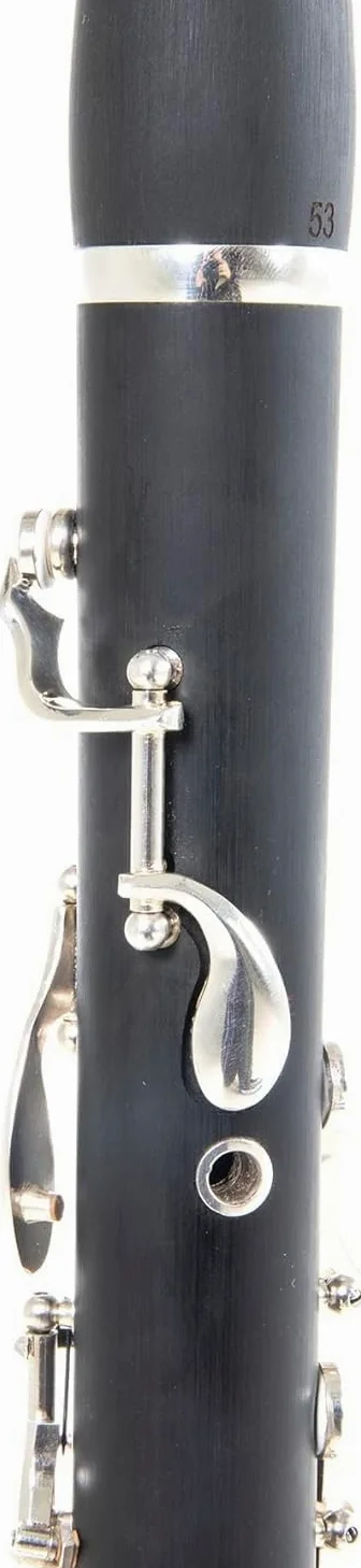 clarinetto in B, sistema tedesco, valigetta di lusso con zaino, bocchino, supporto per clarinetto, servizio di manutenzione