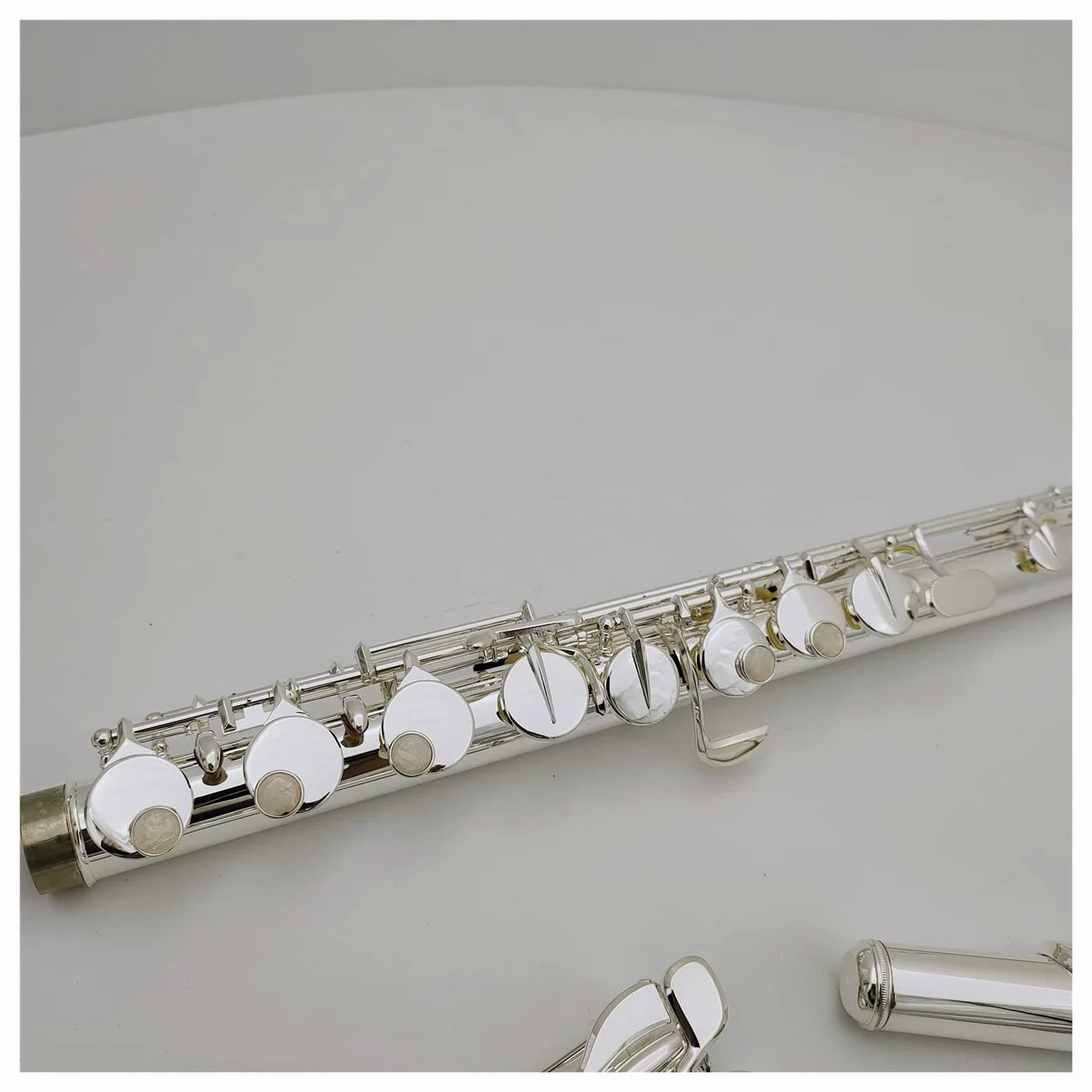 Alto Flute G Tune 16 Tasti Chiusi per Foro Sliver Placcato Strumento Musicale Professionale con Custodia Flauto