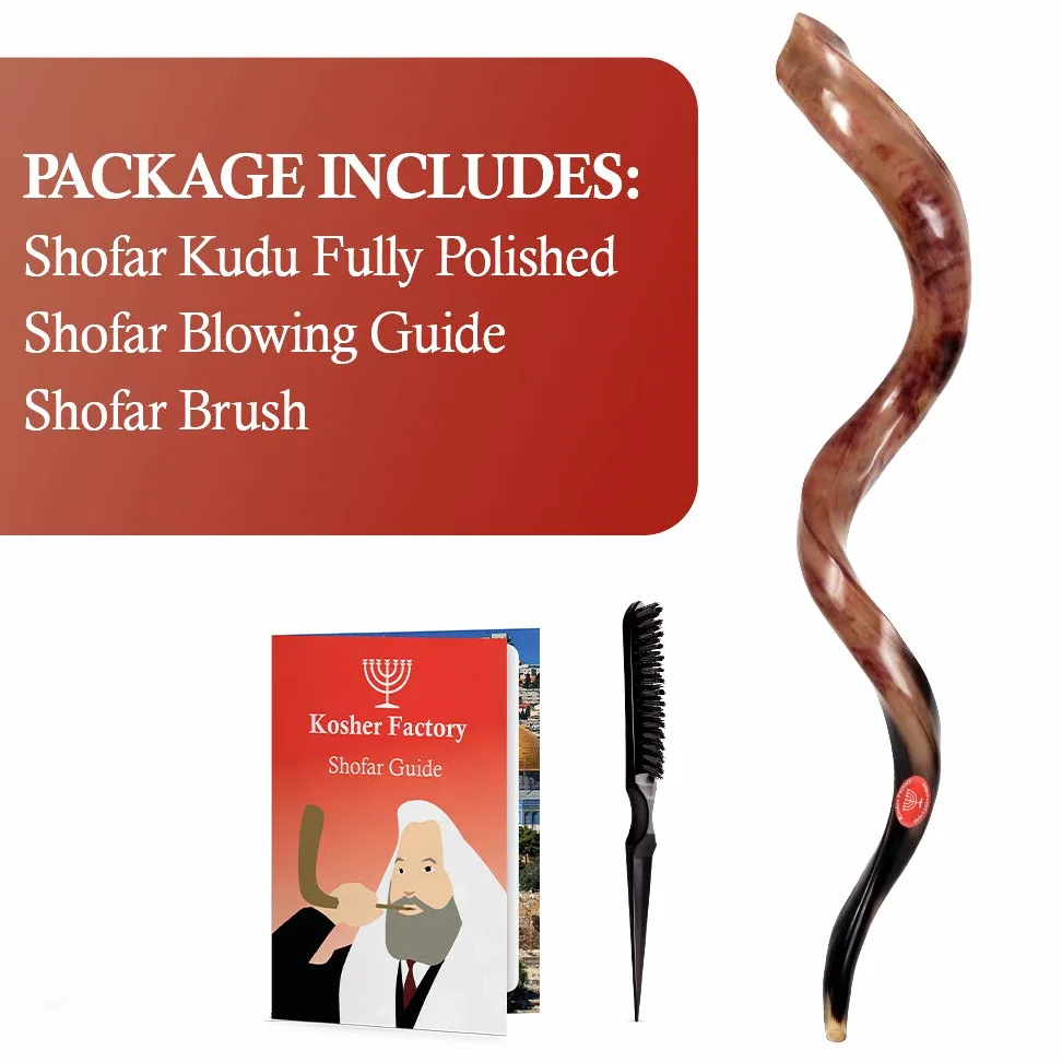 88,90 cm (35")-93,98 cm (37") Yemenite Shofar Kosher alta qualità & smalto borsa omaggio