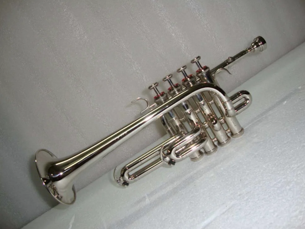 SM'SAI MUSICALS - Set di piccole trombe in ottone professionale con bocchino, custodia rigida imbottita, per gruppi scolastici, orchestre, principianti, bambini, adulti, studenti avanzati, argento