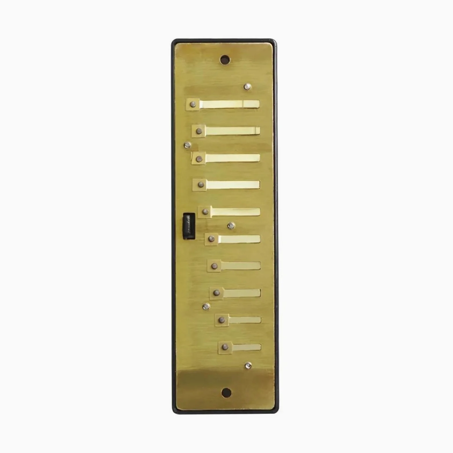 armonica a bocca Armonica A 10 Fori 20 Toni Armonica A Chiave C Blu Organetto A Bocca Adatto Per Gli Appassionati Di Musica Strumento