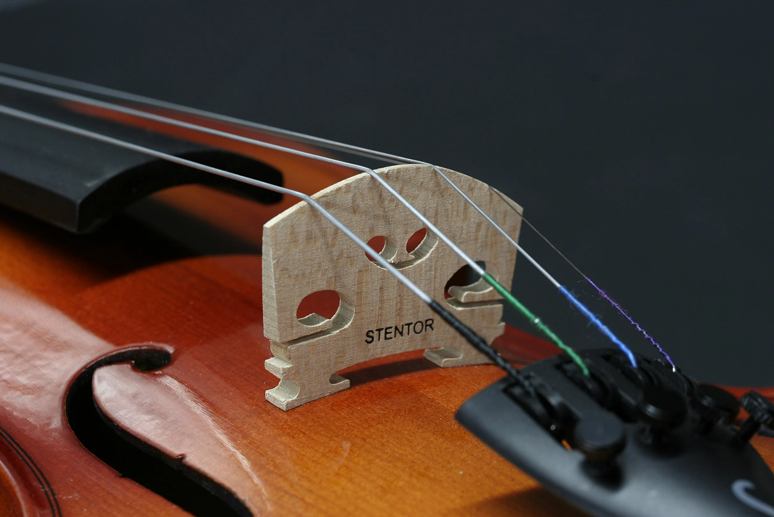 STENTOR - STENTOR STUDENT II 4/4 CON CUSTODIA ED ARCO - DS42894