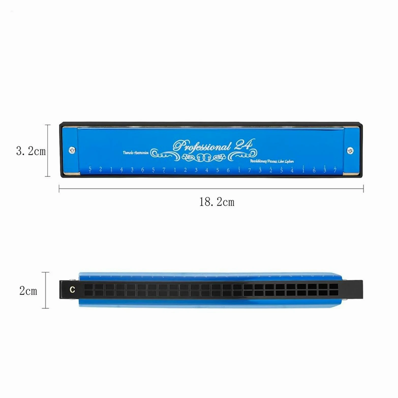Armonica Armonica a bocca professionale a 24 fori con chiave in Do griglia in resina ABS strumento musicale per principianti con custodia e panno per la pulizia