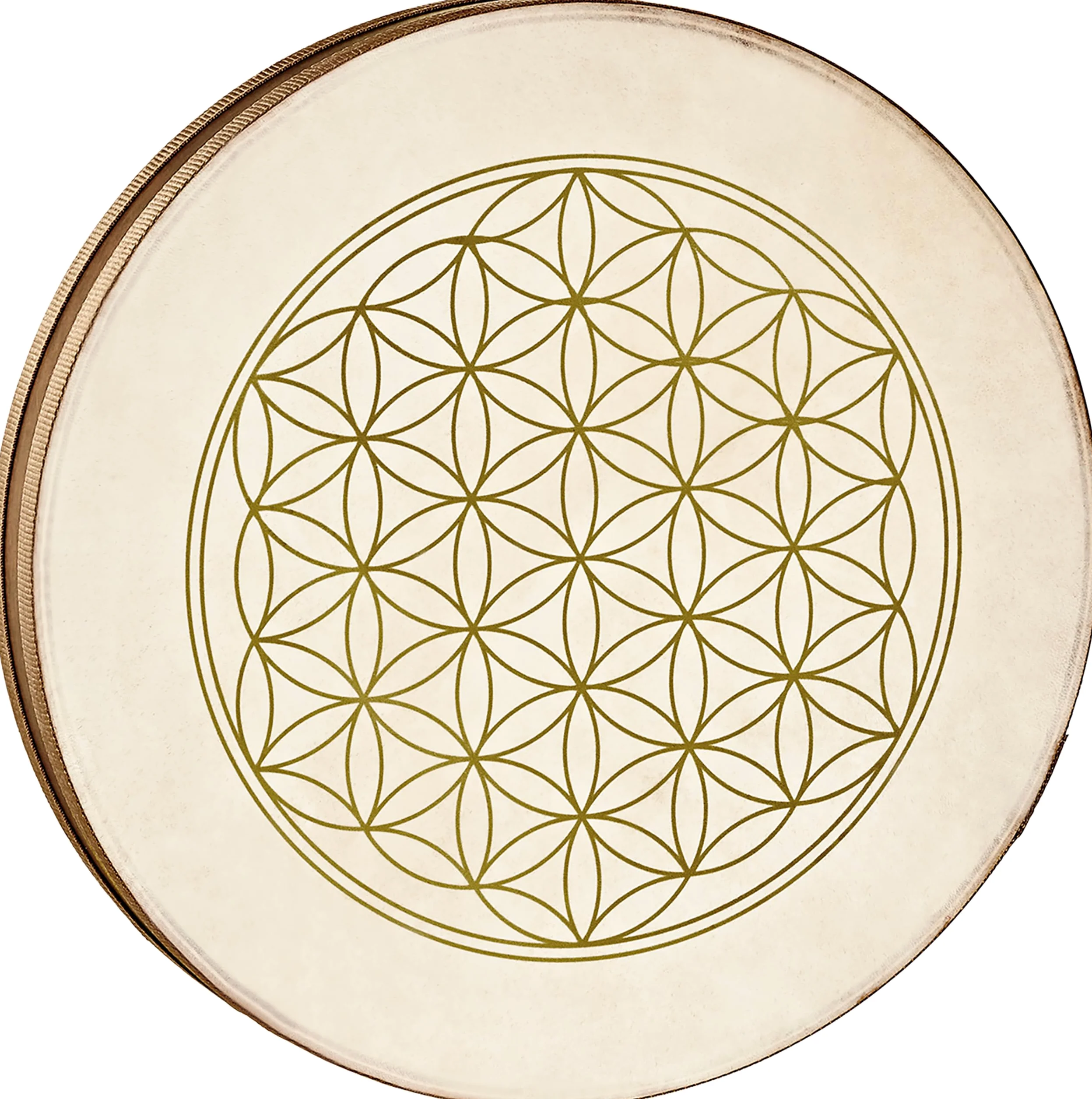 Sonic Energy Ocean Wave Drum – Sea Drum 16 Pollici – Suono delle onde per meditazione, yoga, viaggi sonori, percussioni – Ocean drum con due pelli – Quercia del Siam, marrone (WD16FOL)