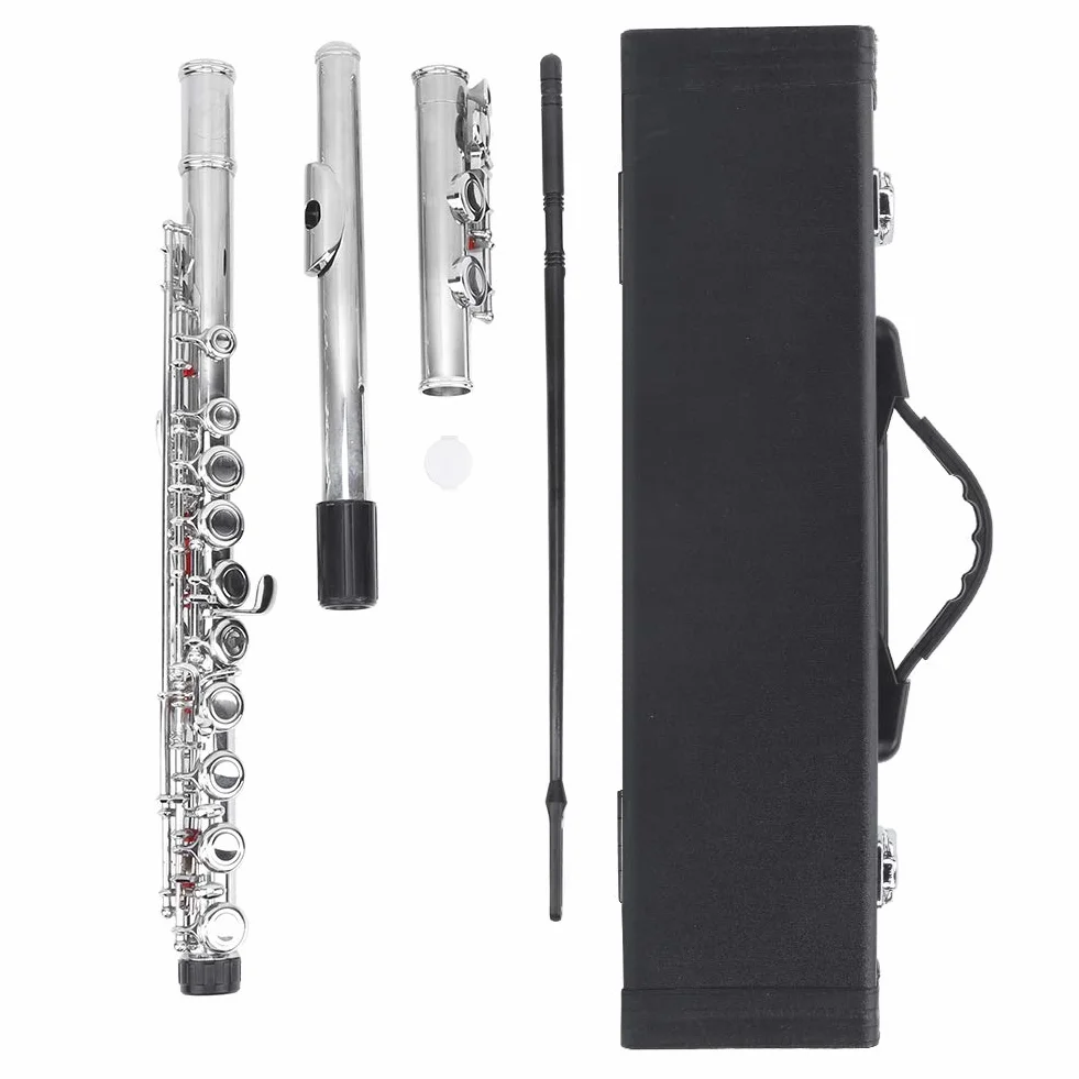 Flauto, portatile e resistente, Strumenti musicali, con custodia protezione trasporto, for studenti, iniziatori, adulti, allenamento, esame,attività ricreativa