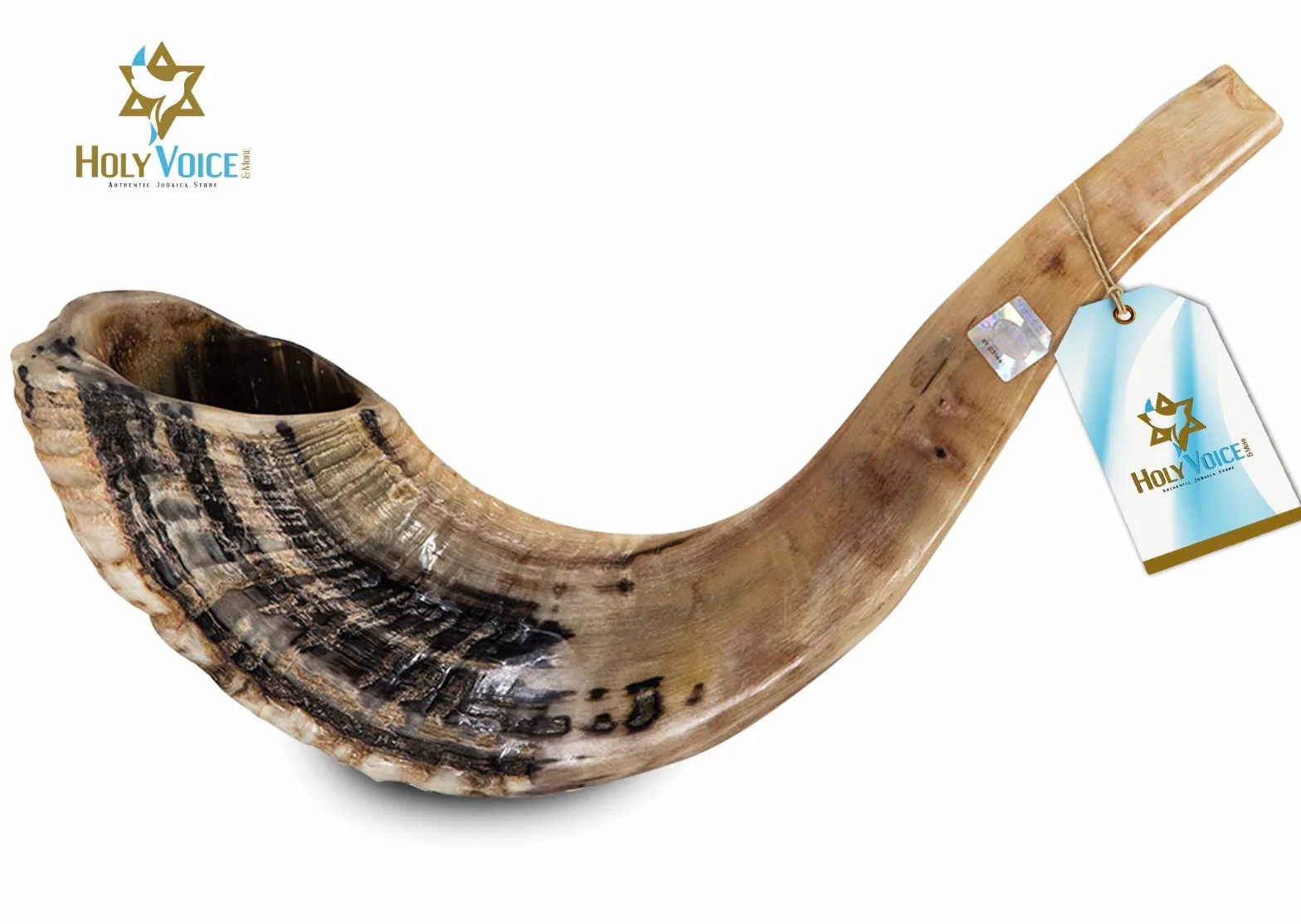 Holy Voice Kosher, corno Shofar di ariete proveniente da Israele, 30,5-35,6 cm, tradizionale mezzo lucido, strumento musicale ebraico antico della Terra Santa, bocchino liscio per un facile soffiaggio